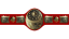 CMLL Universal Championship