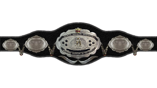 NWA World Light Heavyweight Championship