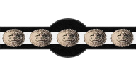 NWA World Middleweight Championship
