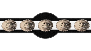 NWA World Middleweight Championship