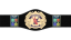 CMLL Vive Latino Championship CMLL Vive Latino Championship