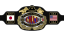 CMLL World Heavyweight Championship