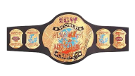 Ecw championship 98 01