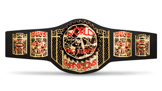 Ecw tag team championship