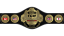 ECW World Television Championship