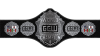 GCW World Championship GCW World Championship