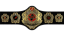 JCW World Championship
