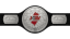 GCW Tag Team Championship