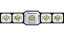 ICW World Heavyweight Championship