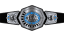 ICW World Tag Team Championship