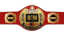 IPW Tag Team Championship