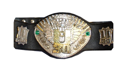 IWGP U-30 Openweight Championship - Title History