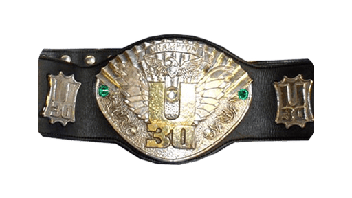 IWGP U-30 Openweight Championship - Title History