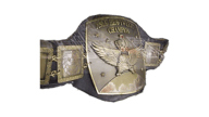 Asia heavyweight championship