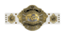 IWGP Global Heavyweight Championship