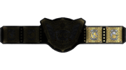 IWGP Intercontinental Championship