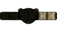 IWGP World Heavyweight Championship (V5 Evil Spray) IWGP World Heavyweight Championship (V5 Evil Spray)