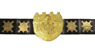 IWGP Heavyweight Championship