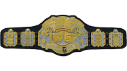 IWGP Heavyweight Championship