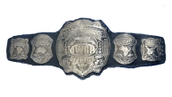 IWGP Intercontinental Championship