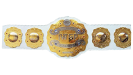 Iwgp intercontinental championship