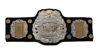 Iwgp jr heavyweight championship