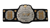 Iwgp jr heavyweight championship