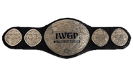 Iwgp jr tag team championship