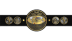 IWGP Tag Team Championship