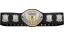 IWGP U-30 Openweight Championship