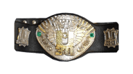 Iwgp u 30 openweight championship