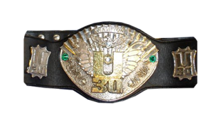 IWGP U-30 Openweight Championship