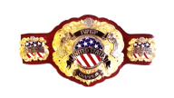 Iwgp united states championship