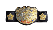 IWGP Women's Championship
