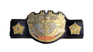 Iwgp womens championship