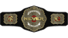 NEVER Openweight Championship NEVER Openweight Championship