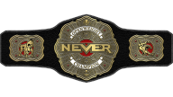 NEVER Openweight Championship
