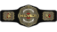 NEVER Openweight Championship