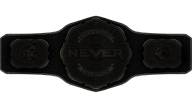 NEVER Openweight Championship (EVIL Spray)
