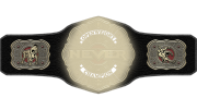 NEVER Openweight Championship