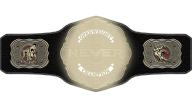 NEVER Openweight Championship