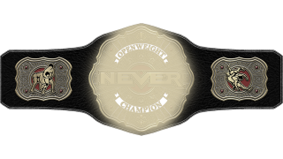 NEVER Openweight Championship