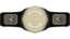 NEVER Openweight Championship