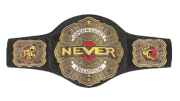 NEVER Openweight Championship