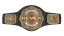 NEVER Openweight Championship