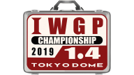 Tokyo Dome Challenge Right Certificate (Hiroshi Tanahashi) Tokyo Dome Challenge Right Certificate (Hiroshi Tanahashi)