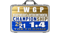 Tokyo Dome Challenge Right Certificate (Kota Ibushi) Tokyo Dome Challenge Right Certificate (Kota Ibushi)