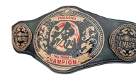 TAMASHII Tag Team Championship