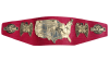 NWA National Championship NWA National Championship