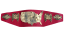 NWA National Heavyweight Championship